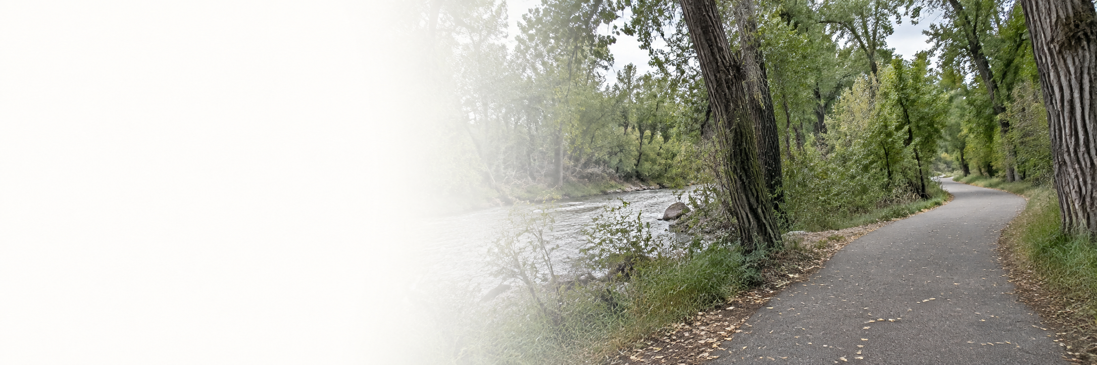 Tree-lined path beside the river in Boise