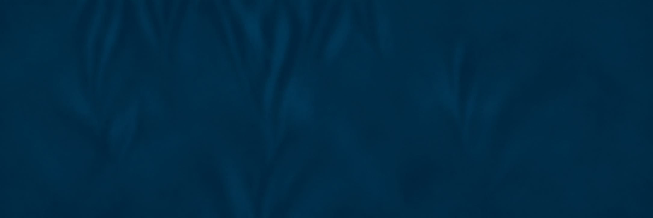 support-section-background.png